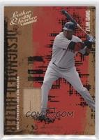 David Ortiz #/250