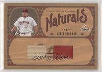 Lance Berkman #/100