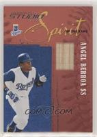 Angel Berroa #/300