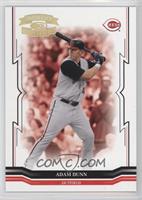 Adam Dunn #/100