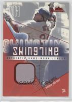 David Ortiz #/610