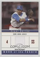 Angel Berroa #/610