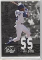 Angel Berroa #/250