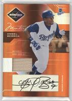 Angel Berroa #/100