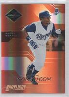 Angel Berroa #/99