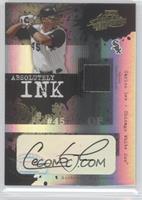 Carlos Lee #/25