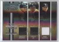 Magglio Ordonez, Carlos Lee, Mark Buehrle #/50