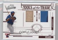 Carlos Delgado #/100