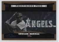 Vladimir Guerrero #/100