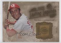 Tony Perez #/75