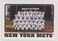 New York Mets Team