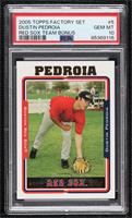 Dustin Pedroia [PSA 10 GEM MT]