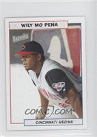 Wily Mo Pena