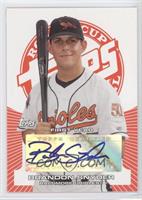 Brandon Snyder #/399