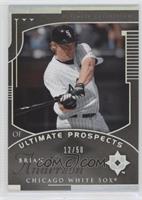 Ultimate Prospects - Brian N. Anderson #/50