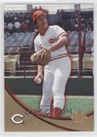 Johnny Bench #/825