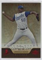 Future Stars - Ambiorix Burgos #/50