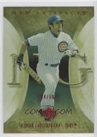 Nomar Garciaparra #/50