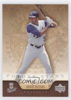 Future Stars - David DeJesus #/1,350