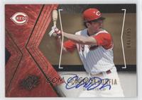 Chris Denorfia #/185