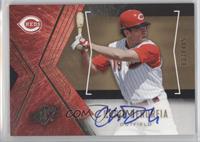 Chris Denorfia #/185