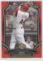 Adam Dunn #/599