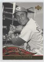 Tony Perez #/50