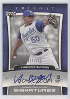 Ambiorix Burgos #/199