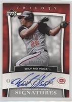 Wily Mo Pena #/199