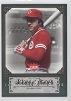 Johnny Bench