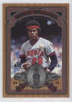 Rod Carew #/550