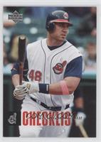 Checklist - Travis Hafner