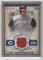 Adam Dunn #/250