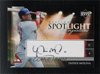 Yadier Molina Autographed Baseball Cards