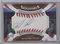 Sweet Spot Signatures - Wily Mo Pena #/150