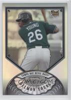 Delmon Young #/199