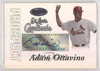 Autograph - Adam Ottavino [EX to NM]