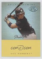 Austin Romine #/25