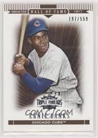 Ernie Banks #/559