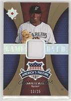 Dontrelle Willis #/25