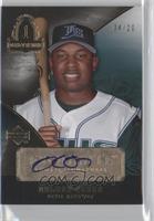 Delmon Young #/20