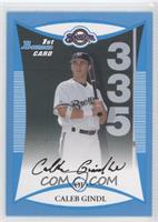 Caleb Gindl #/500