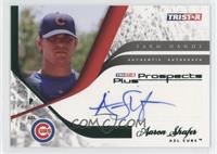 Aaron Shafer #/50