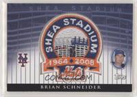 Brian Schneider #/100