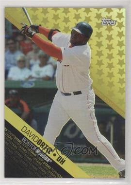 2008 Topps - Topps Stars #TS15 - David Ortiz