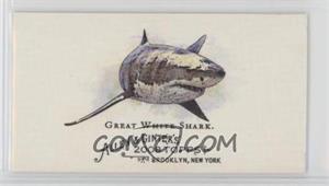 Great-White-Shark.jpg?id=909cafac-060e-434a-900f-c6960e9f9aec&size=original&side=front&.jpg