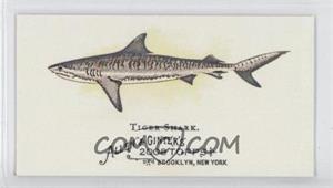 2008 Topps Allen & Ginter's - The World's Deadliest Sharks Mini #WDS2 - Tiger Shark