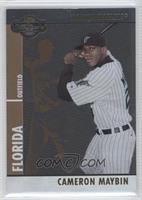 Cameron Maybin #/150