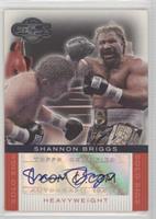 Shannon Briggs