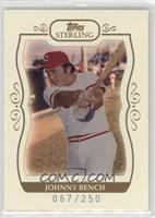 Johnny Bench #/250